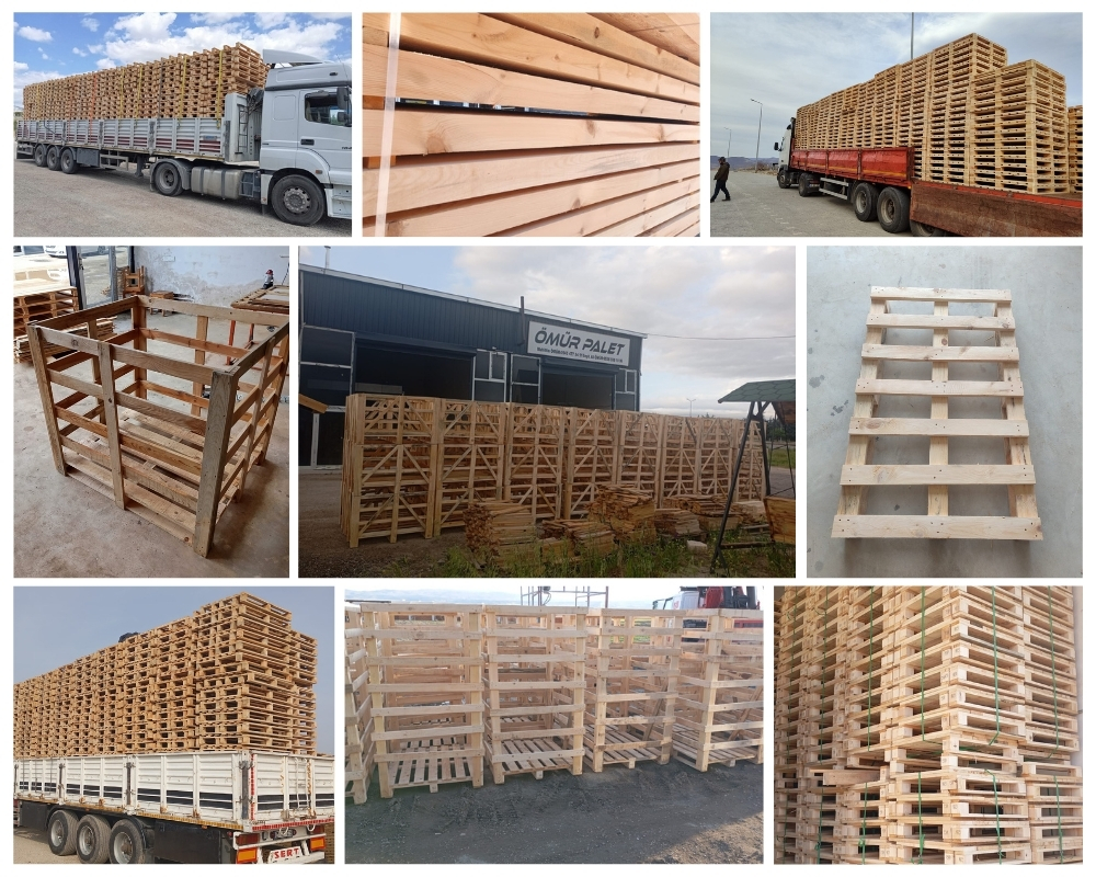 Bosch en Duin Houten Kisten, Europallets Groothandel Kopen